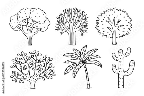 Diverse Tree Collection: A collection of meticulously illustrated trees showcasing the unique beauty and diversity of nature's arboreal wonders.