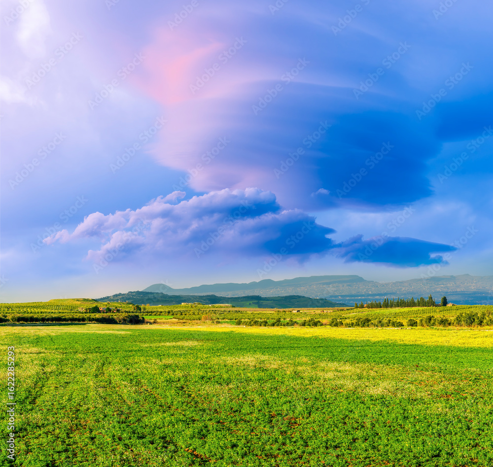 Obraz premium Scenic view at beautiful spring or summer sunset in a shiny meadow with golden grass and sun rays, deep beautiful cloudy sky and road, valley landscape