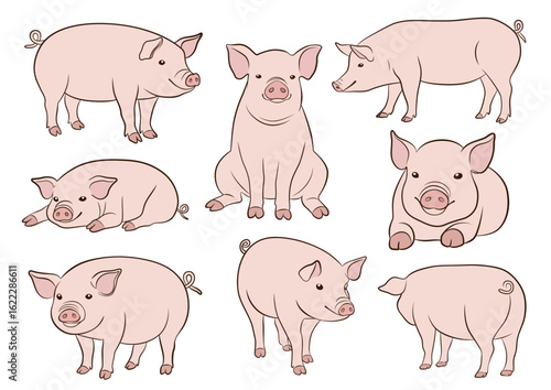 ブタのイラストセット（カラー）