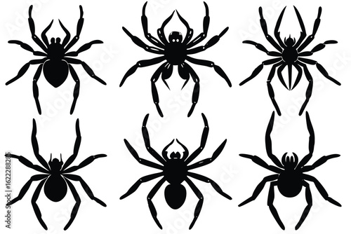 Collection of six black spider silhouettes on a white background