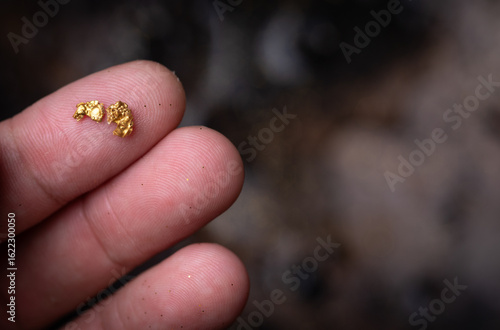 Gold nugget on finger close up,Gold mining by prospectors.