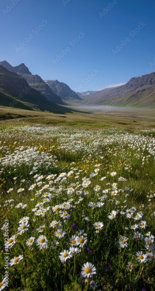 Fototapeta premium Wildflowers bloom in a valley, mountains rise behind