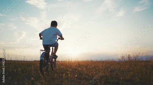 Happy summer in country, little boy riding bike in beautiful lawns in sunset. Freedom and happiness in childhood, child enjoying summer vacation, feel joy and love to dream, back view of young cyclist