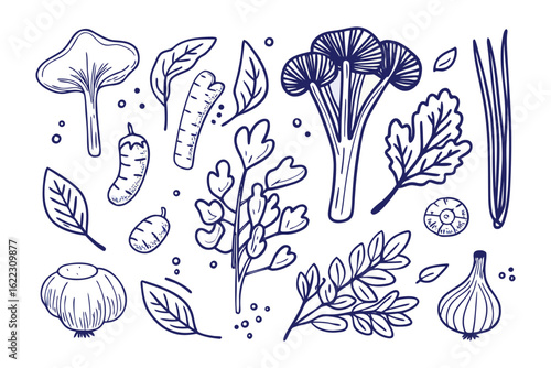 Botanical Illustration: An detailed illustration showcasing a selection of fresh ingredients, ideal for depicting culinary art and fresh organic produce.