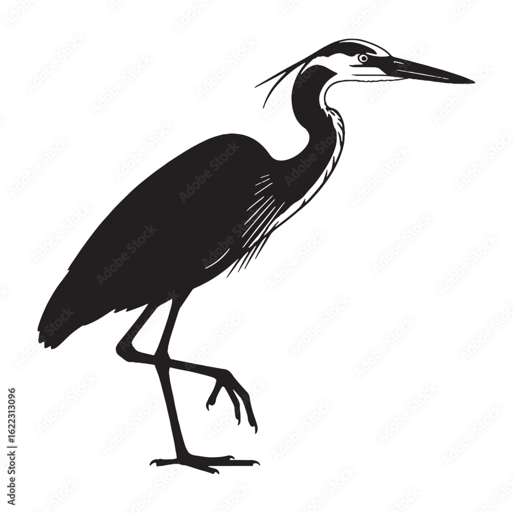 Obraz premium Slim Profile Heron Silhouette – Heron Vector Graphic Highlighting Refined Outline – Bird Silhouette – Black Vector of Heron