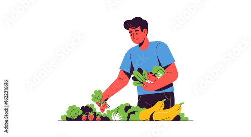 A Young Man Harvesting Fresh Organic Vegetables From His Garden with Care and Dedication