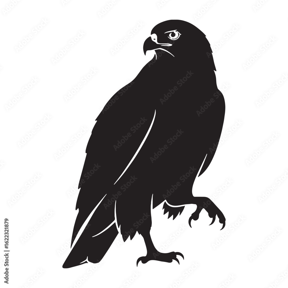 Fototapeta premium Strong Beak Kite Silhouette – Kite Vector Graphic Highlighting Distinct Predator Look – Bird Silhouette – Black Vector of Kite