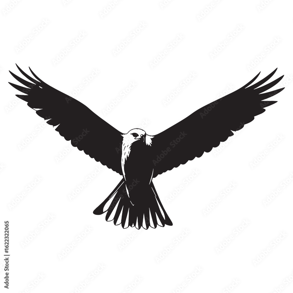 Obraz premium Defined Kite Silhouette – Kite Vector Graphic Featuring Crisp Raptor Contours – Bird Silhouette – Black Vector of Kite