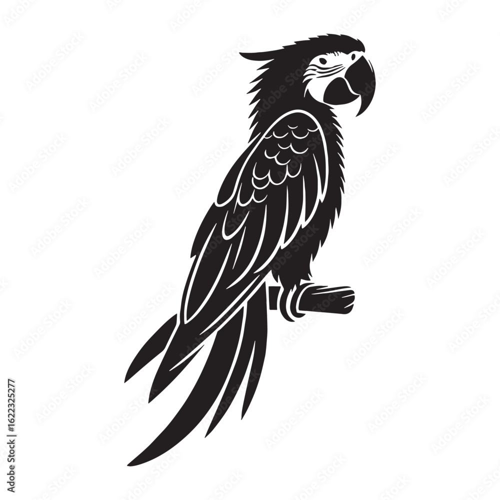Fototapeta premium Large Macaw Silhouette – Macaw Vector Graphic with Distinct Tropical Bird Form – Bird Silhouette – Black Vector of Macaw