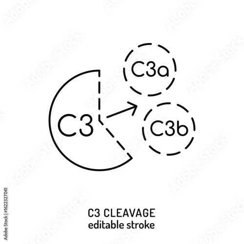 C3 cleavage icon, sign. Editable vector illustration