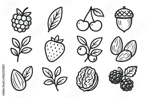 Hand-drawn fruit and nut icons: strawberry, cherry, almond, raspberry, walnut, acorn