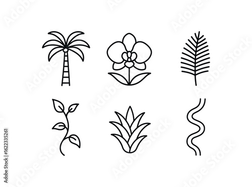 simple outline stroke icon items tropical rainforest (flora): palm tree orchid giant fern vine bromeliad liana monoline icons style isolated on white background