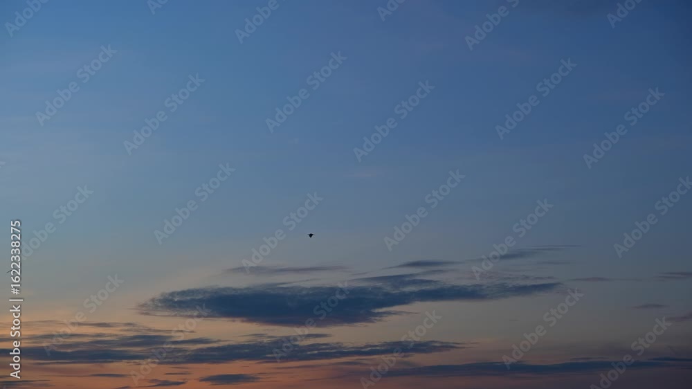 A timelapse video captures a sunrise sky with orange hues near the horizon, softly illuminating scattered clouds that gradually brighten the clear blue morning sky in a peaceful start to the day.
A timelapse video captures a sunrise sky with orange hues near the horizon, softly illuminating scattered clouds that gradually brighten the clear blue morning sky in a peaceful start to the day.