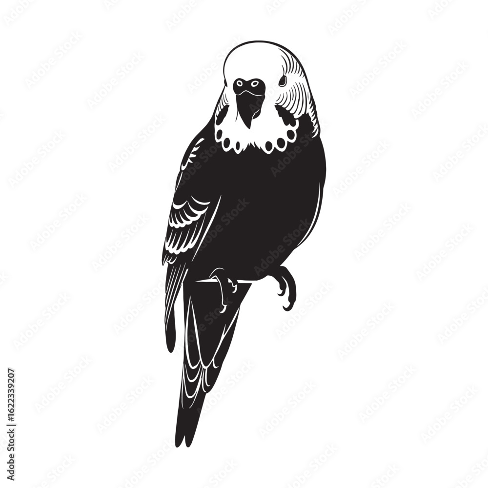 Fototapeta premium Artistic Parakeet Silhouette – Parakeet Vector Art Showing Defined Long-Tail Feature – Parakeet Illustration – Bird Silhouette – Silhouette of Parakeet