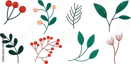 Hand Drawn Winter Botanical Elements Vector