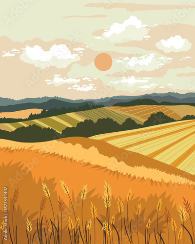 landscape field with wheat beautiful scenery with trees and plants and sunsetю . Vector illustration.