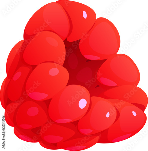Raspberry Fruit