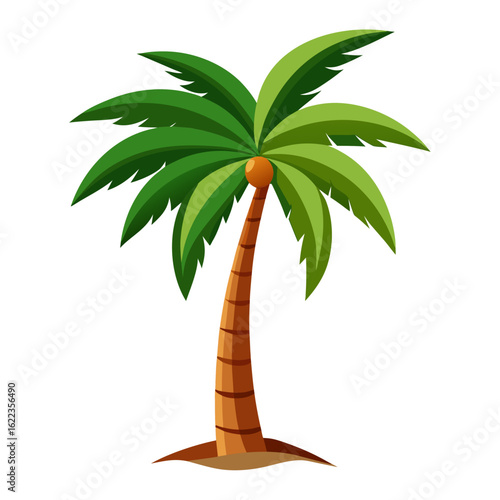 tropical palm tree