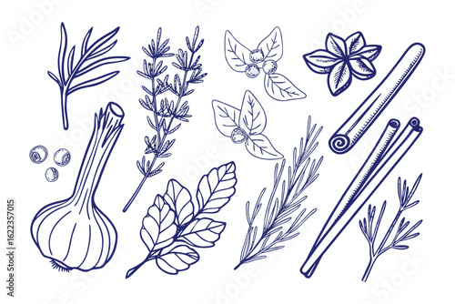 Aromatic Garden Herbs: A detailed illustrated composition of aromatic garden herbs, elegantly arranged to stimulate a sense of culinary artistry.