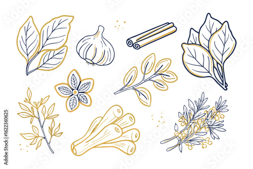 Aromatic Culinary Herbs and Spices: An artistic collection of fragrant culinary herbs and spices, a celebration of natural flavors, in an illustrated style.