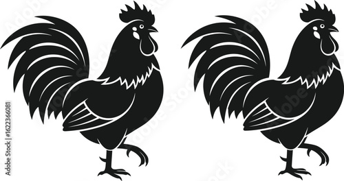 Black rooster vector illustration, farm animal graphic design, poultry silhouette