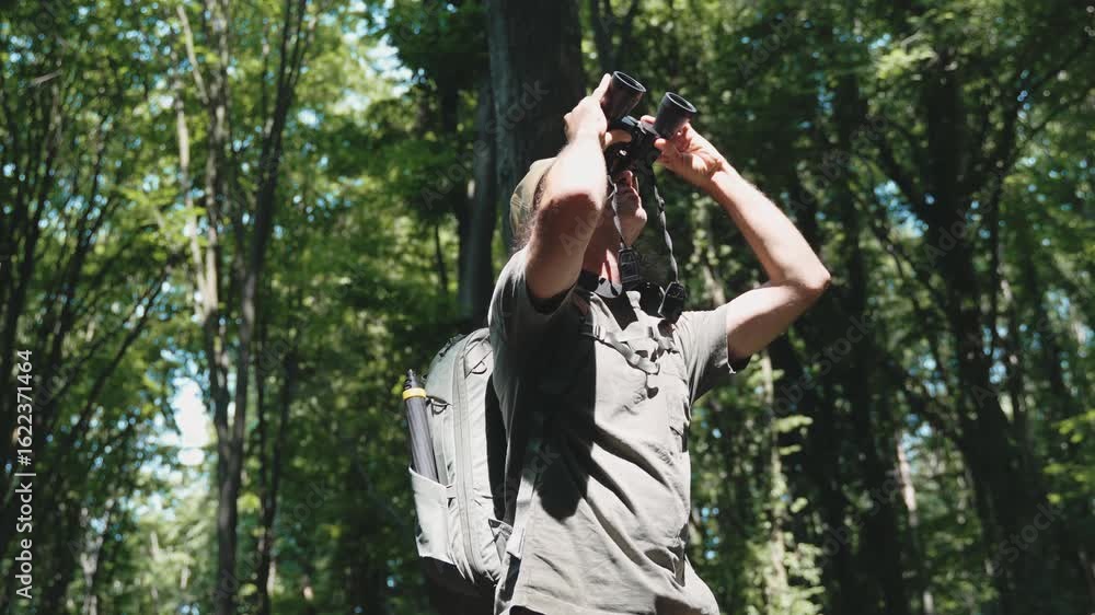 A tourist using binoculars while walking through a summer forest A tourist using binoculars while walking through a summer forest