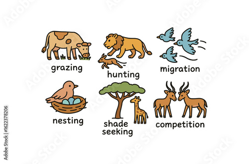 hand drawn cute doodle style line isolated on white background savanna ecosystem (interactions): grazing hunting migration nesting shade seeking competition