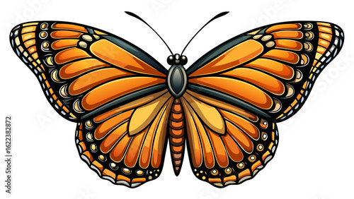 Vintage monarch butterfly drawing illustration white background