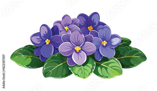 Vector illustration of beautiful african violet flowers with green leaves design art
