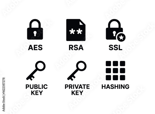 flat black solid icon items isolated on white background data encryption (methods): AES RSA SSL public key private key hashing