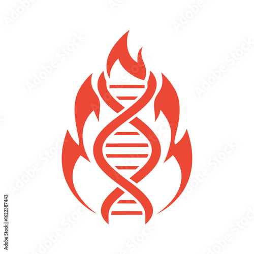 Red D N A helix engulfed in stylized flames on a white background gene genetic