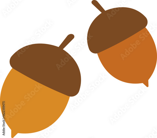 acorns