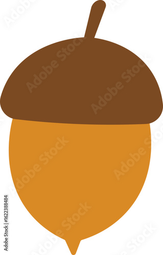 acorn