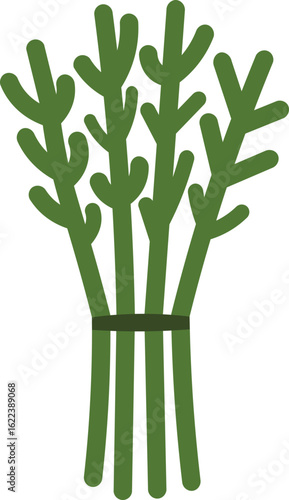 fresh dill