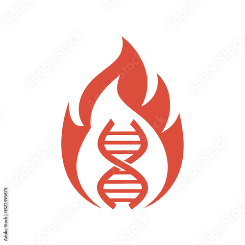 Red D N A helix symbol inside a flame on a white background gene genetic