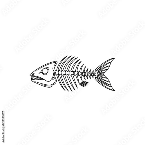 Fish skeleton illustration, showing the remnants of marine life after consumption