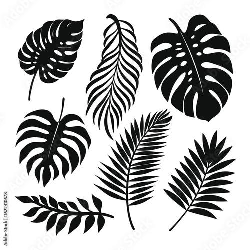 Silhouette of multiple tropical monstera and palm frond leaves creates a bold modern botanical motif