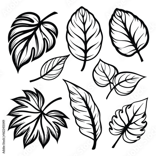 Various monochromatic plant leaves create a visually diverse composition, evoking organic and stylized botanical imagery