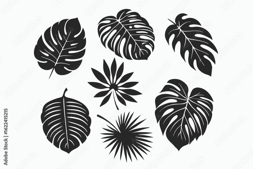 Fototapeta premium Several detailed dark palm and monstera leaves are displayed in a symmetrical composition