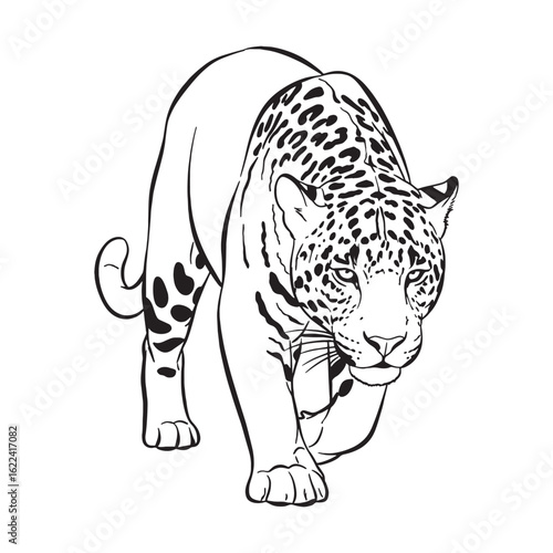 Spotted Jaguar Line Art – Jaguar Vector Outline Drawing with Strong Muscular Build – Jaguar Drawing – Vector of Jaguar – Jaguar Outline

