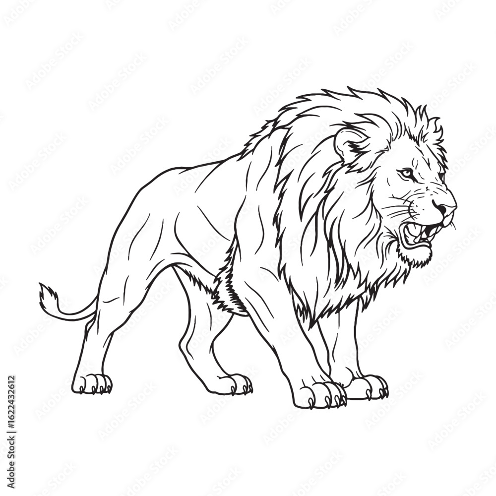 Obraz premium Distinctive Lion Line Art – Lion Vector Outline Drawing with Strong Bold Features – Lion Drawing – Vector of Lion – Lion Outline