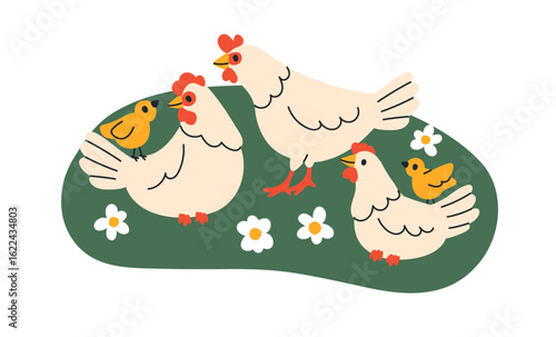 Chicken family walking on grass in countryside. Rooster, hens and chick brood...