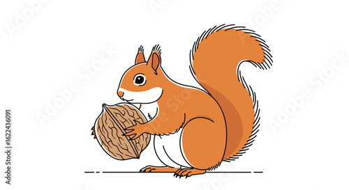 A whimsical cartoon illustration of a cute orange squirrel holding a large nut in its paws on a white background