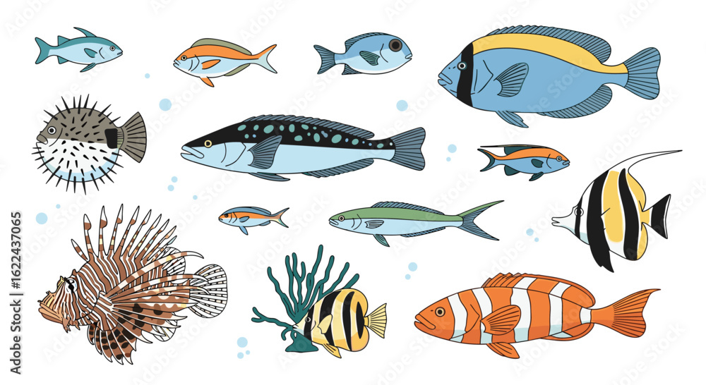 Naklejka premium Vibrant collection of tropical marine wildlife species showcasing diverse underwater ecosystem life forms