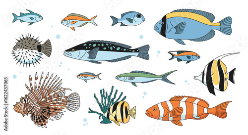 Vibrant collection of tropical marine wildlife species showcasing diverse underwater ecosystem life forms