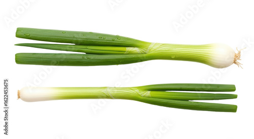 Foto Isolated Fresh Green Onions