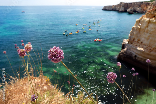 Algarve cliffs near Praia da Marinha beach at sunset , Portugal , Europe , focus in foreground