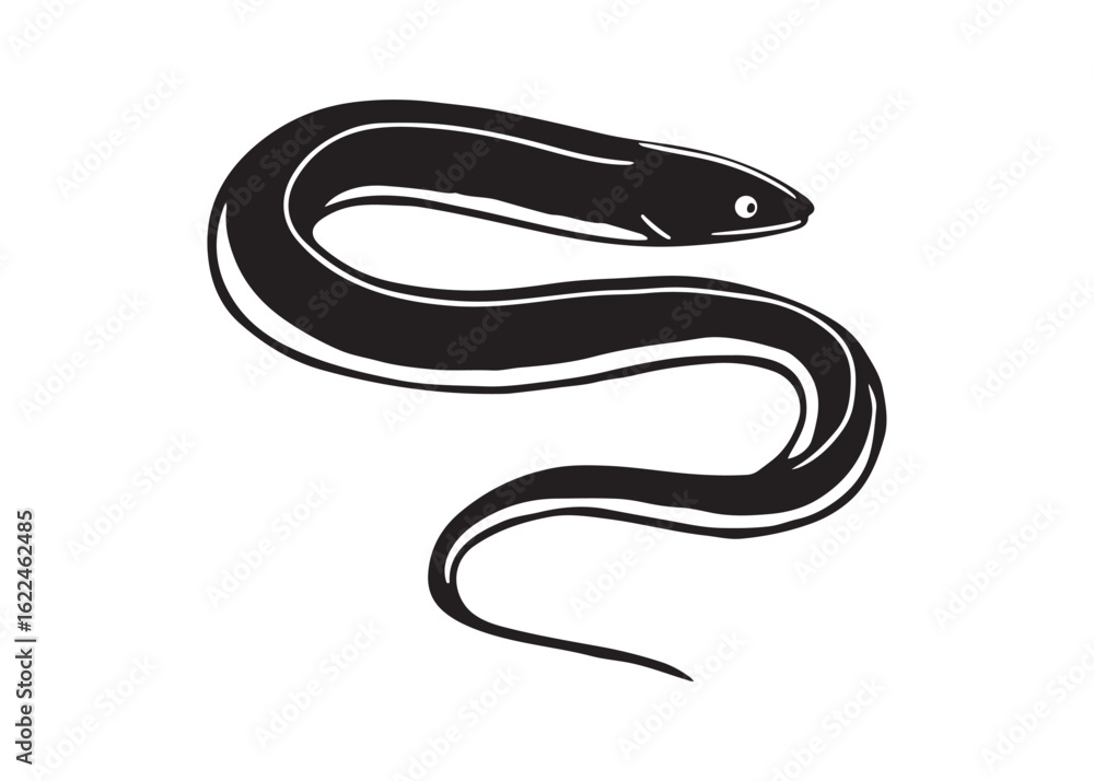 Fototapeta premium Eel Vector Illustration in Black and White Hand-Drawn Line Art Style.