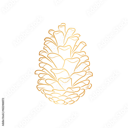 vector illustration of pine cones with gold lines