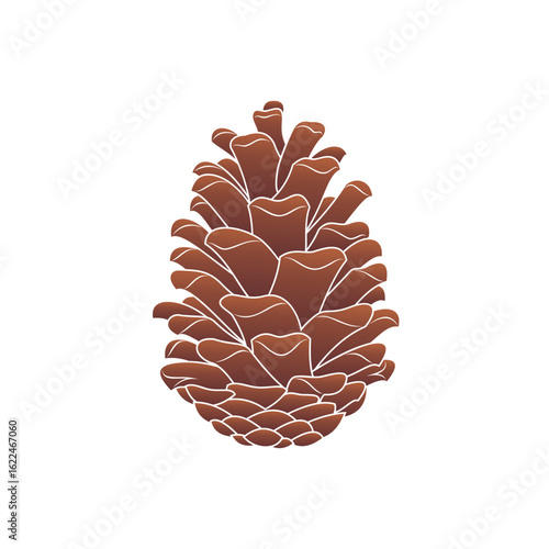 pine cone isolated on white background